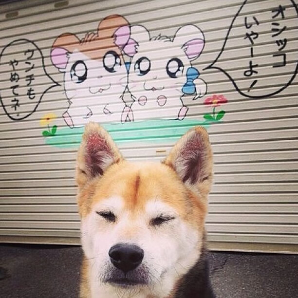 WCGC全球总决赛首次落地中国海口,wcg世界总决赛冠军