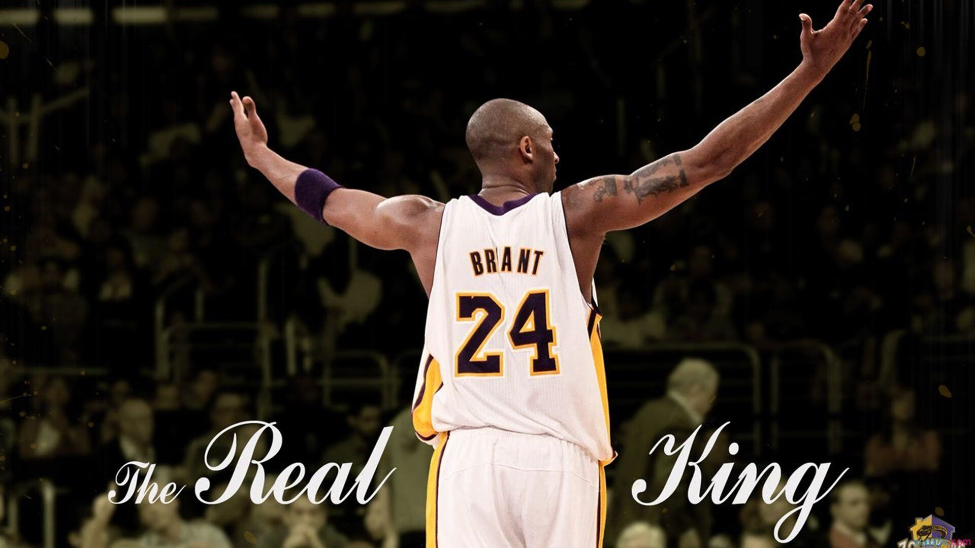 意大利女子队体能储备充足，意大利队女球迷